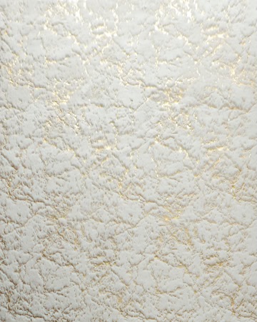Metallic White Scattered 8x11