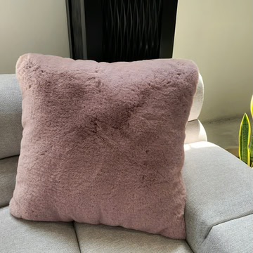 Chinchilla Pillow - Rose’ image 1